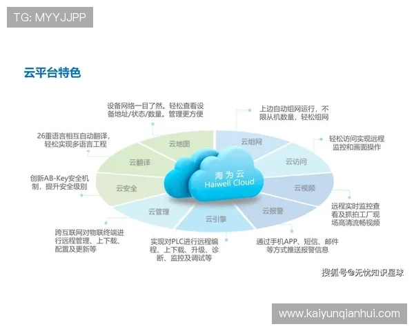 开云网中国助力传统企业数字转型的新机遇