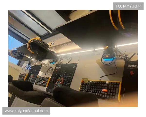 开云电竞官网app用户评价与反馈，真实体验分享助你选择最佳电竞平台