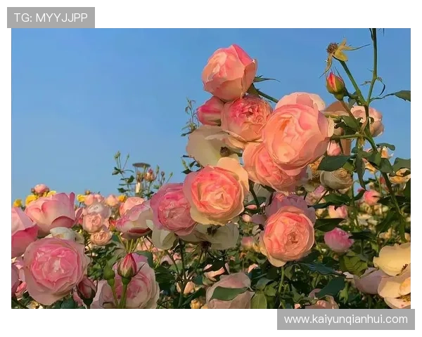 开运入口:打造属于你的开运入口让好运气源源不断涌入生活 开运入口:打造属于你的开运入口让好运气源源不断涌入生活